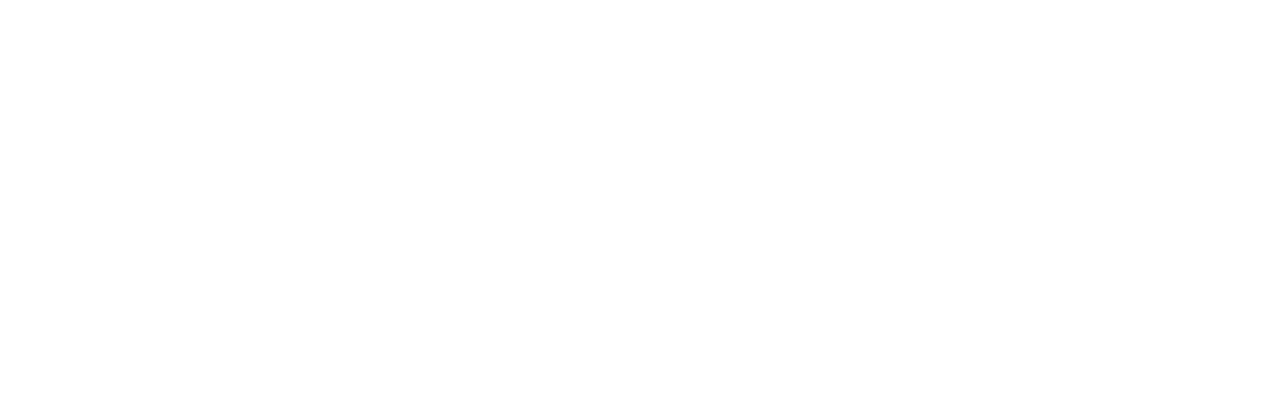 ENS Soft Kurumsal Logo