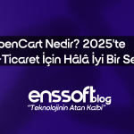 Server (Sunucu) Nedir? 2025’te İşletmeler İçin En Uygun Sunucu Türleri
